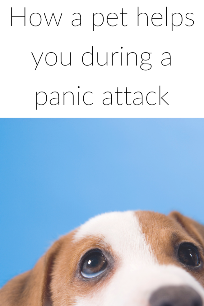How a pet helps you during a panic attack (1).png